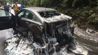 Road Covered In Wriggling Eels And Slime Following Horror Nightmare Crash<em></em>